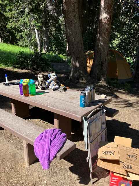 Albion Basin Campground