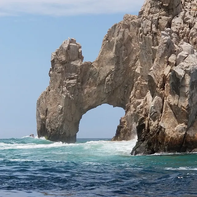Wild Cabo Tours