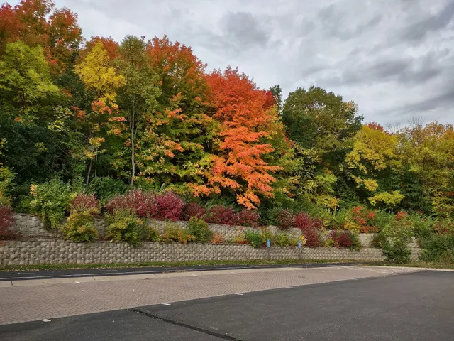 Dog Park at Fish Lake Regional Park