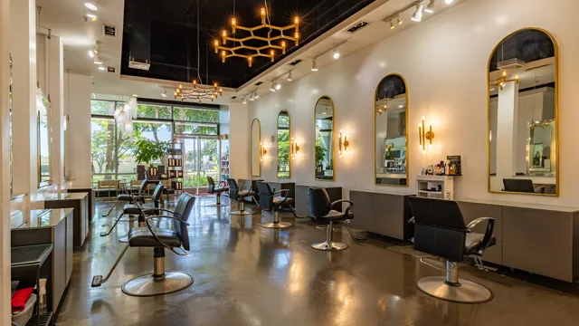 Salon Blanc The Celebrities Salon