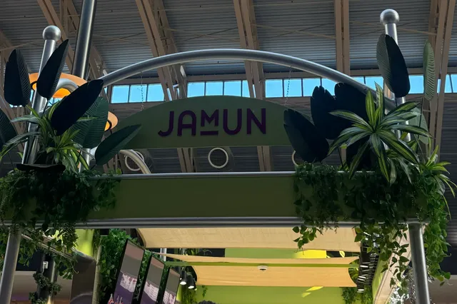 JAMUN NZ Style Ice Cream