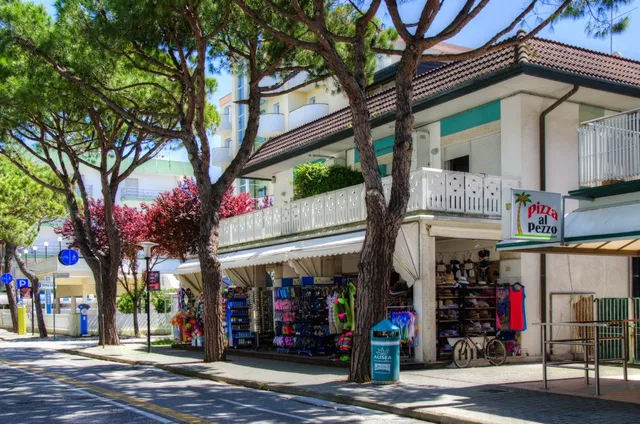 Ca' Venezia Apartments