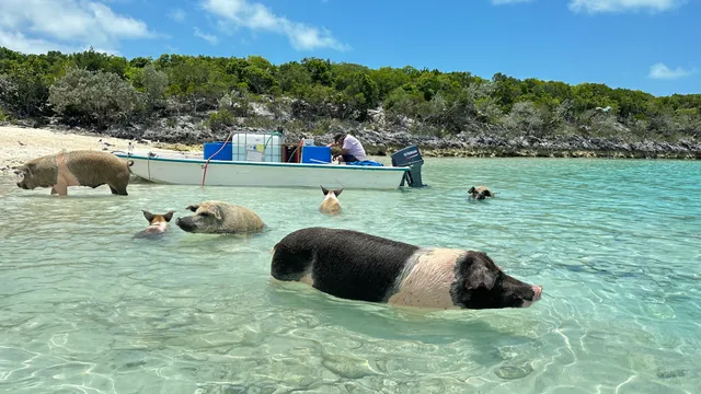 K&M International Travel Inc. 景闻国际旅行社