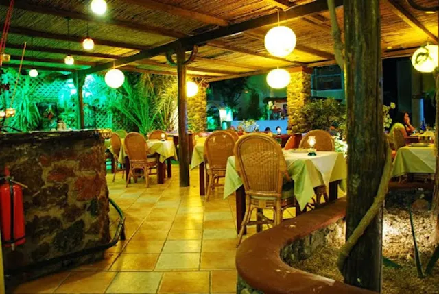 Kiwi Chinese & Thai restaurant