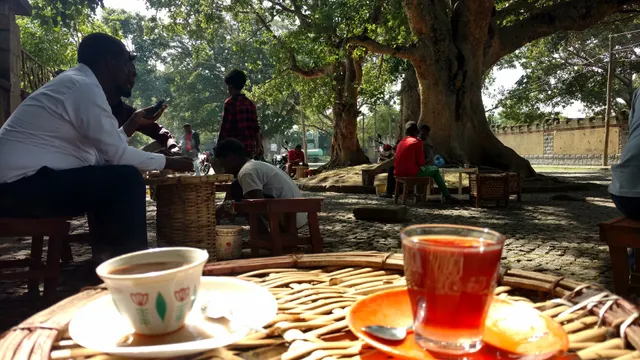 Selam Coffee : Organic Ethiopian Cofee