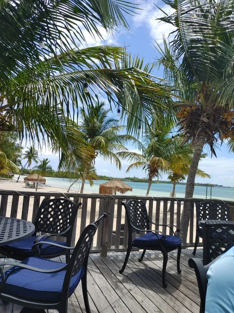 Tranquil Turtle Beach Bar