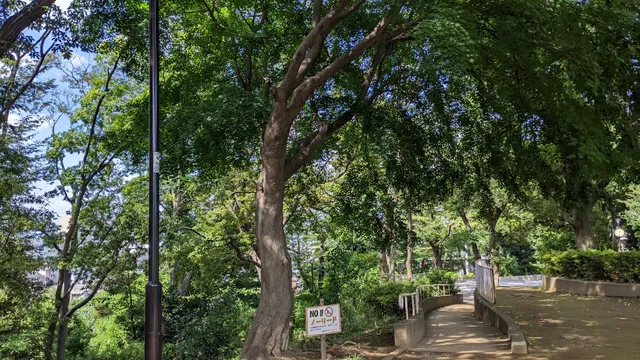 Itabashi Kuritsu Higurashidai Park