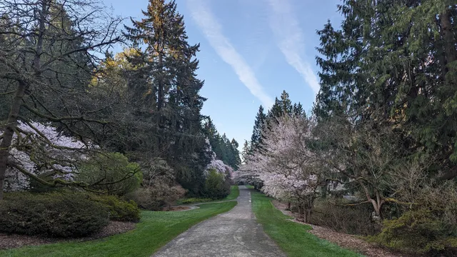 Arboretum Loop Trail