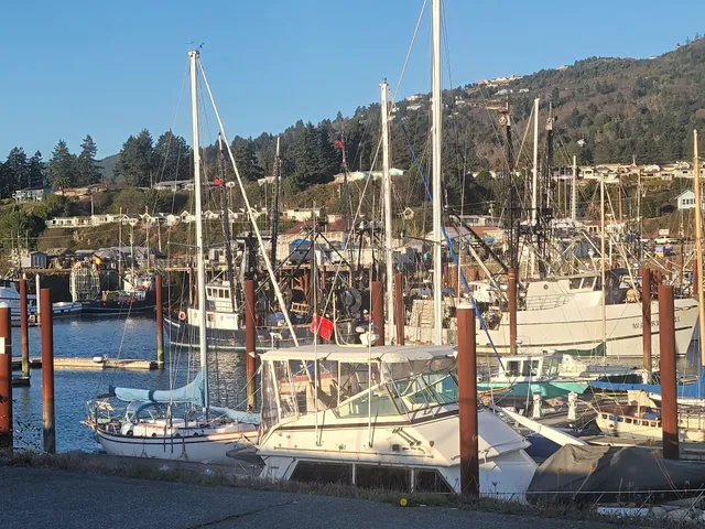 Port of Brookings Harbor, Office