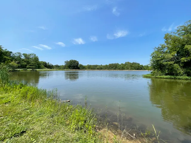 Busch Wildlife Lake 6