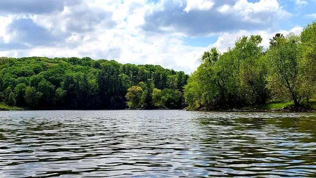 Interstate Lowland Forest State Natural Area