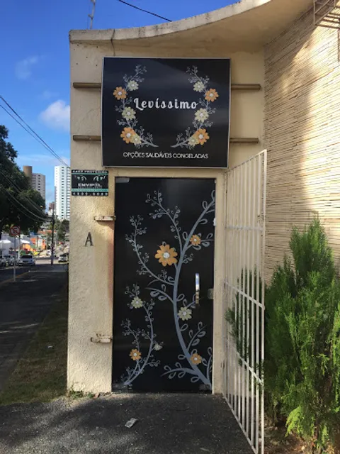 Soul Levíssimo - Congelados Saudáveis