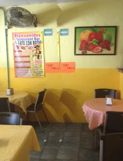 Restaurant El Gato con Botas Bar cancún