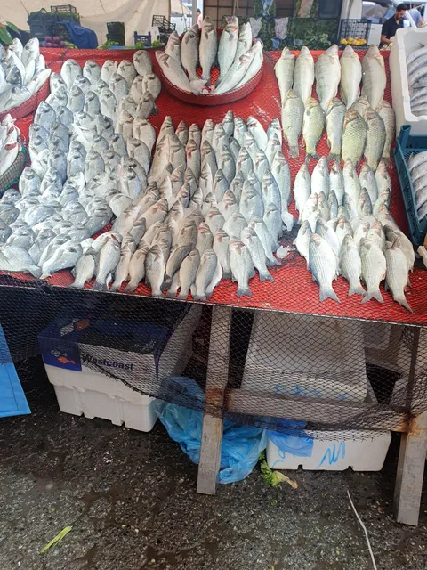 Söğütlüçeşme Pazartesi Pazarı