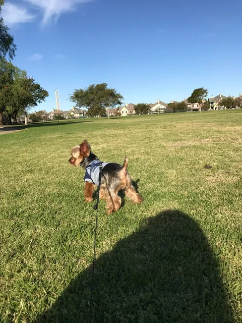 Precious Pet Care San Diego