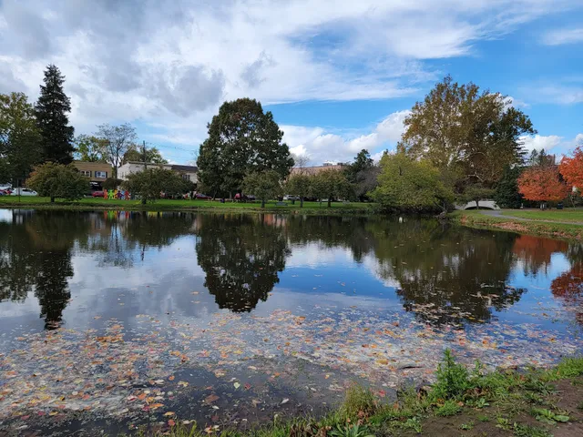 Taylor Park Playground