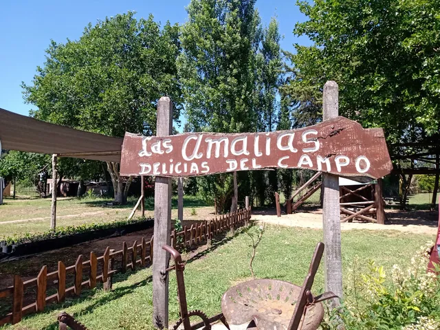 Laberinto Las Amalias San Pedro