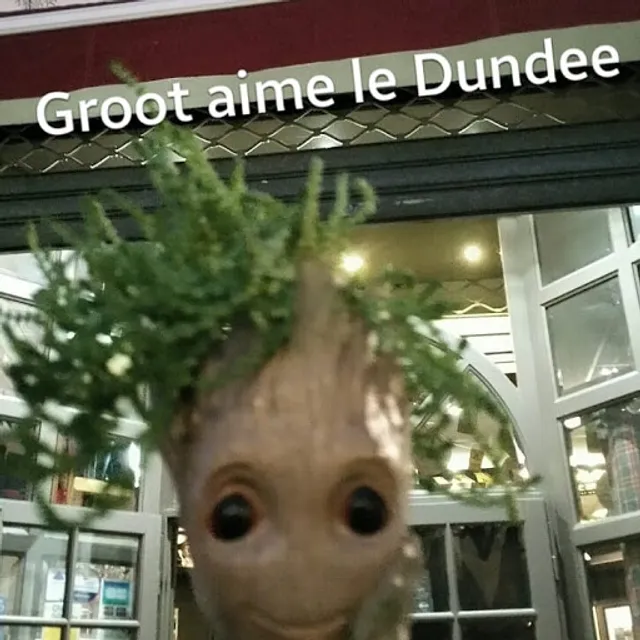 Dundee