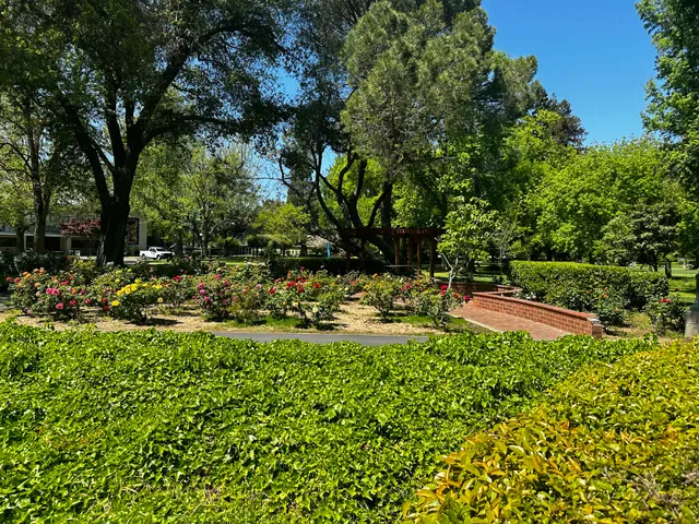 California State University, Sacramento