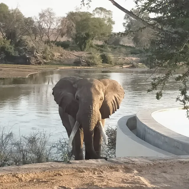 Kudu Camp Tsavo East