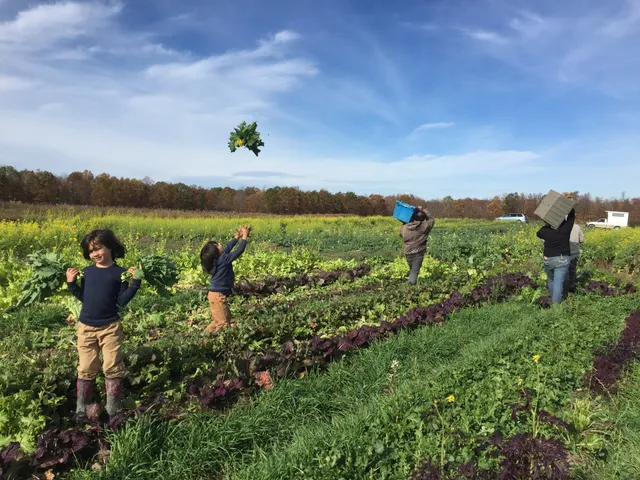 Stick and Stone Farm