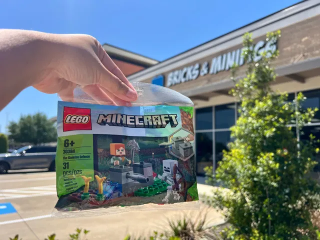 Bricks & Minifigs Sugar Land