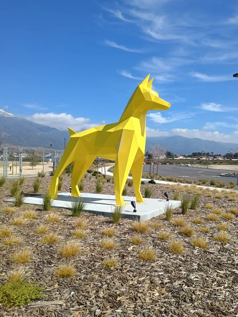 Central Park Dog Park