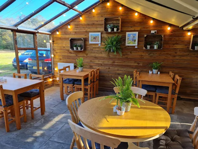 The Daisy Tea Garden