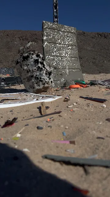 North Joshua Tree BLM