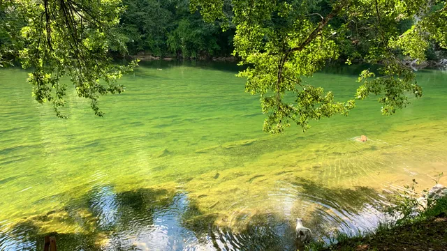 Rock River Kupa - River house Proud Mary