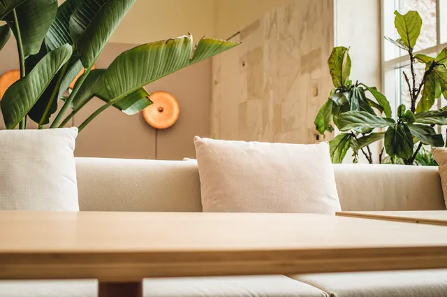 ÚNICO - Restaurante Orgânico Lisboa, CCB