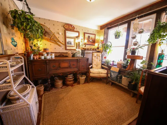 Ruinous Revived: Vintage Lifestyle & Houseplants