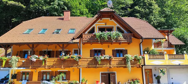 Gästehaus "Steinbachmühle" Mayer