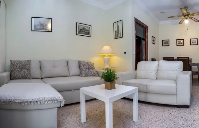 Zona Centro San Luis