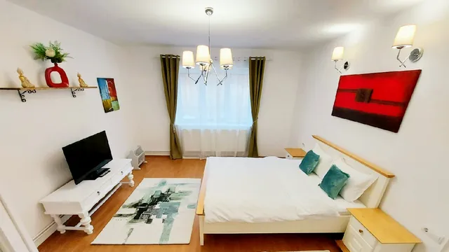 Casa Dușa - Apartament Crisstina