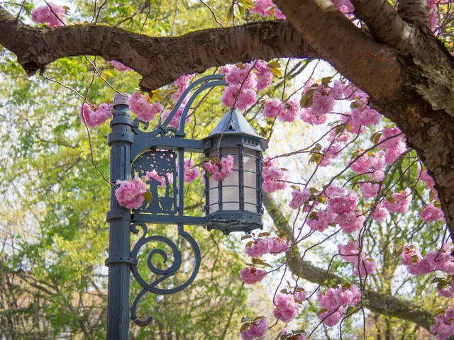 Terrace Sotheby's International Realty