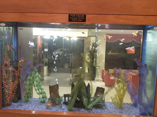 Hotel Le Cinque Güemes