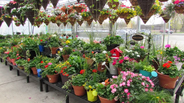 Parran's Greenhouse - Ida