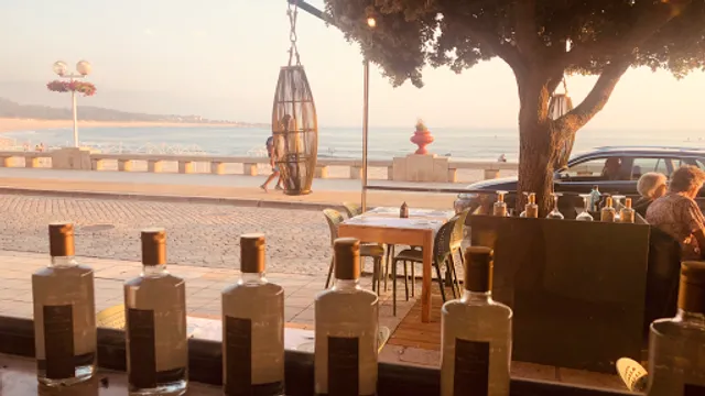 Aqui Há Gato - Vila Praia de Âncora