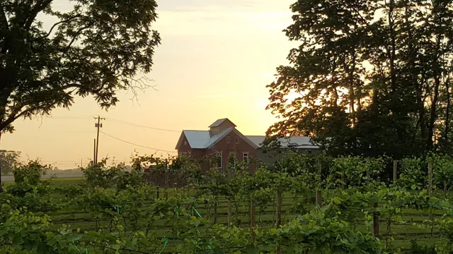 Olde Schoolhouse Vineyard & Winery