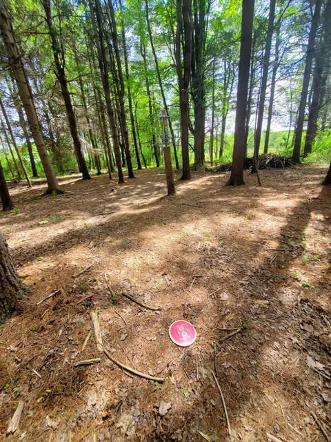 Danby Disc Golf Course