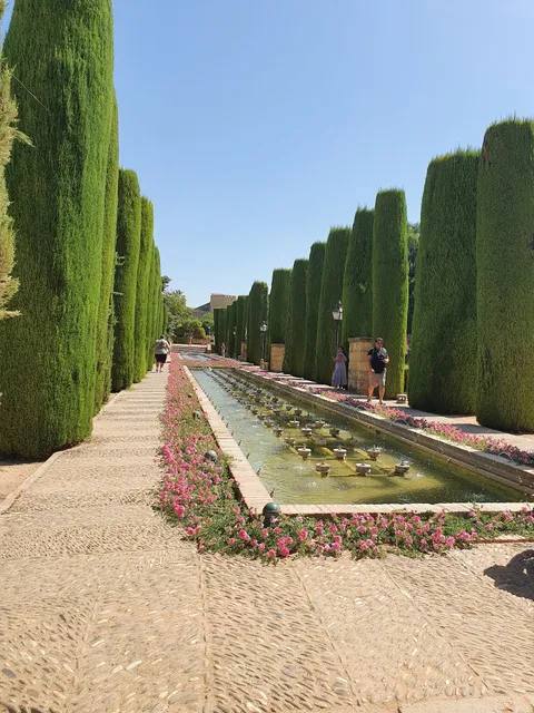 Alojamiento turístico La Terraza de Córdoba