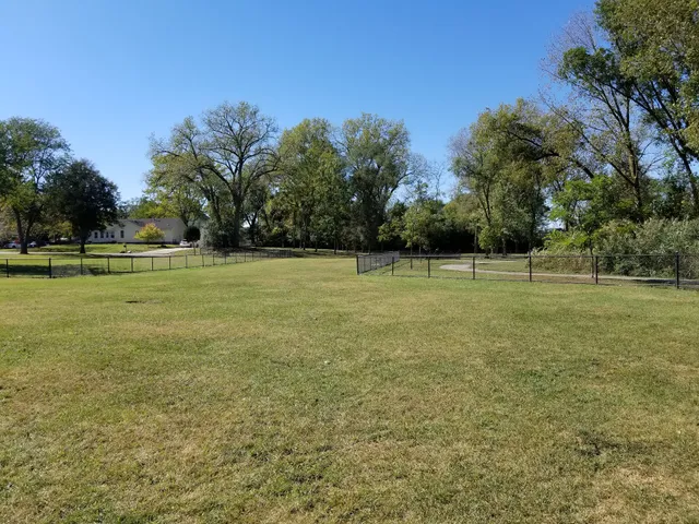 Dog Park at Phillips Park