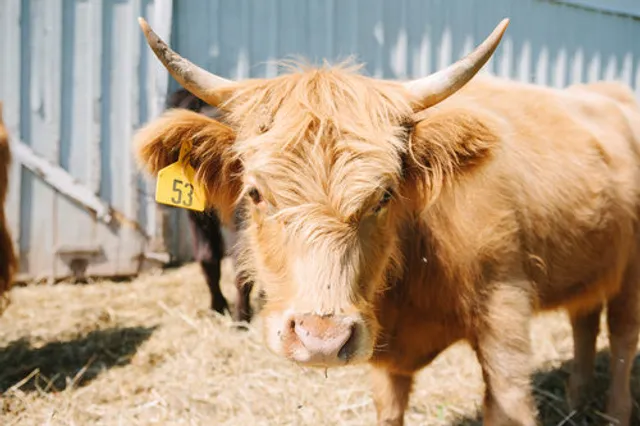 Healthy Living Farm & Store