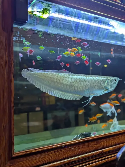 CLD Hot & Spicy Food House - 川香酒楼BGC店