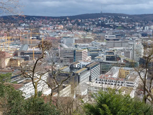 Stuttgart Viewpoint Vineyard