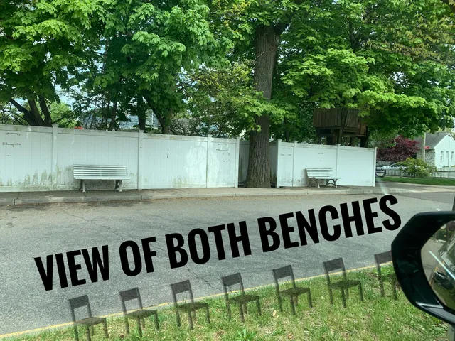 The Bench