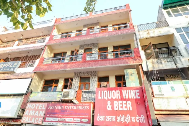 OYO 67811 Hotel Dhanoa Palace Burail