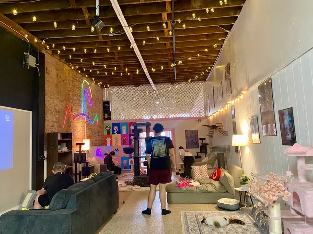 Meow & Mocha Cat Cafe