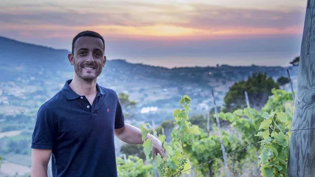 Il Colle del Corsicano Winery